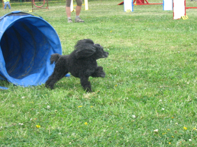 IMG_3028.JPG