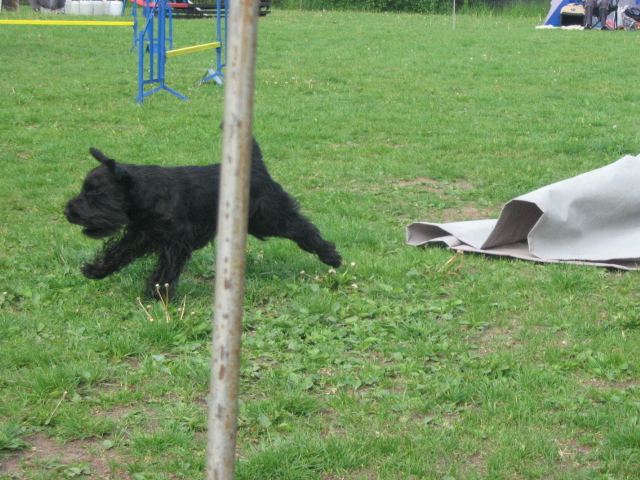 IMG_3088.JPG
