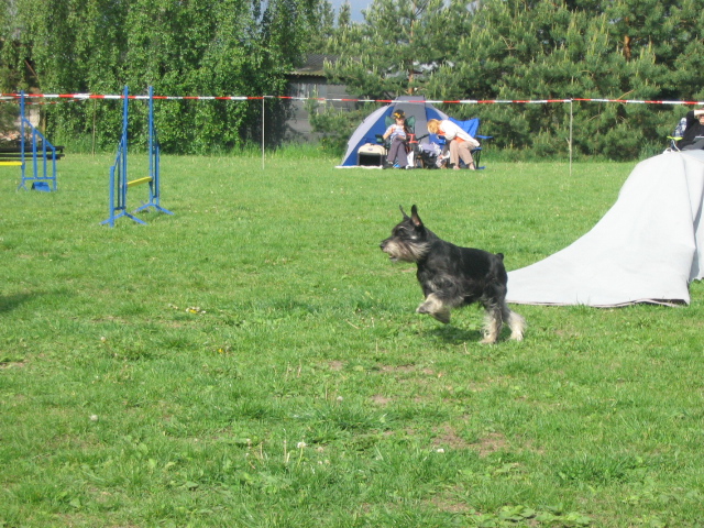 IMG_3113.JPG